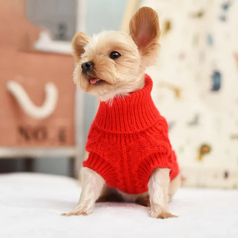 Knitted Pet Sweater