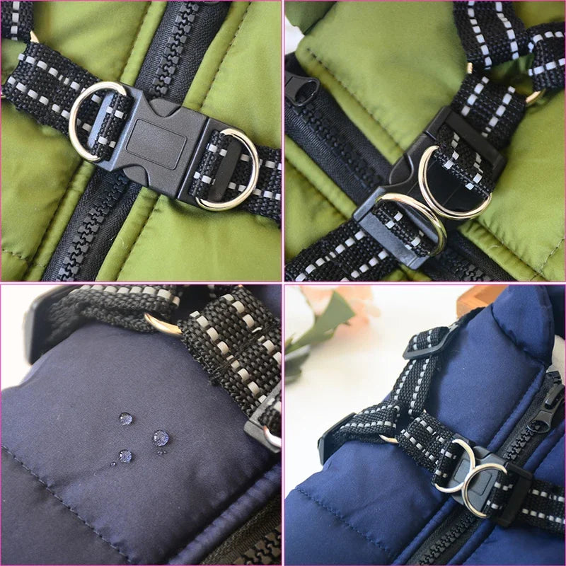 All Weather Jacket w/ Harness