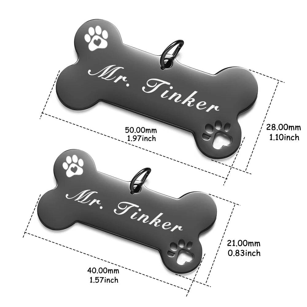 Shiny Steel Pet ID Tag